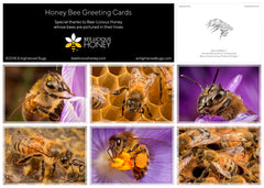 Honeybee Greeting Cards